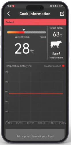 HerQs Pin Pro Thermometer -Grill Koning image 1447