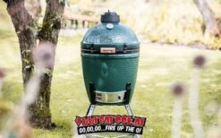 Big Green Egg Medium + Nest + Mates + Cover -Grill Koning image 616