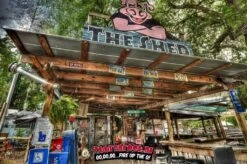 The Shedd Spicy Mustard BBQ Sauce 13.5oz 7 The Shedd Spicy Mustard BBQ Sauce 13.5oz -Grill Koning image 968